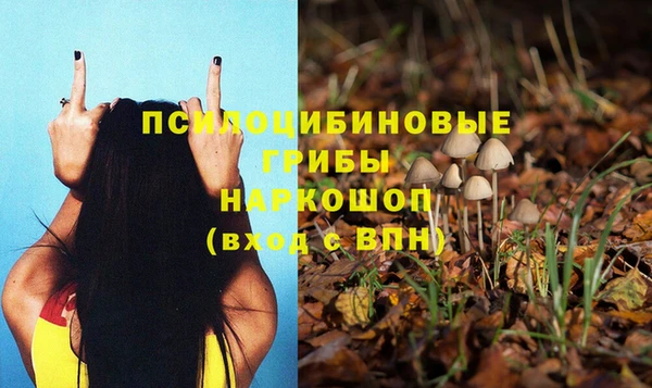 соль ск Нязепетровск