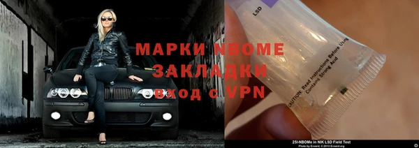PSILOCYBIN Няндома