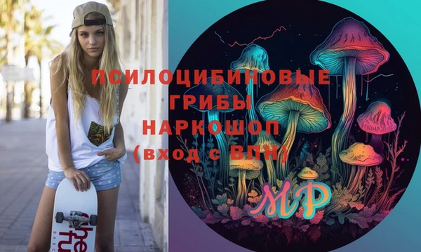 стафф Осинники