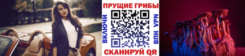 Псилоцибиновые грибы Psilocybine cubensis  Купить где  Железногорск-Илимский 
